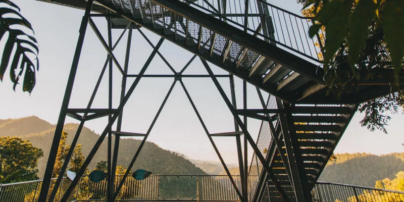 kidsbucketlist.com.au - Mamu Tropical Skywalk  - 4