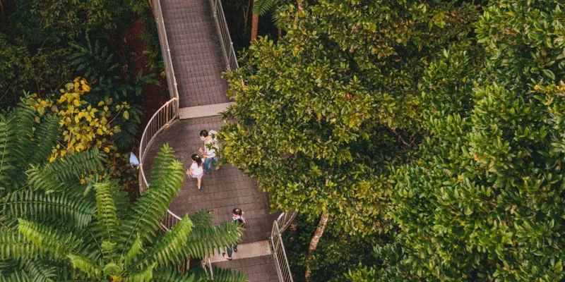 kidsbucketlist.com.au - Mamu Tropical Skywalk  - 5