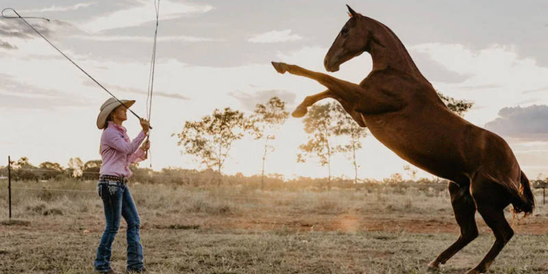 kidsbucketlist.com.au - Katherine Outback Show - 1