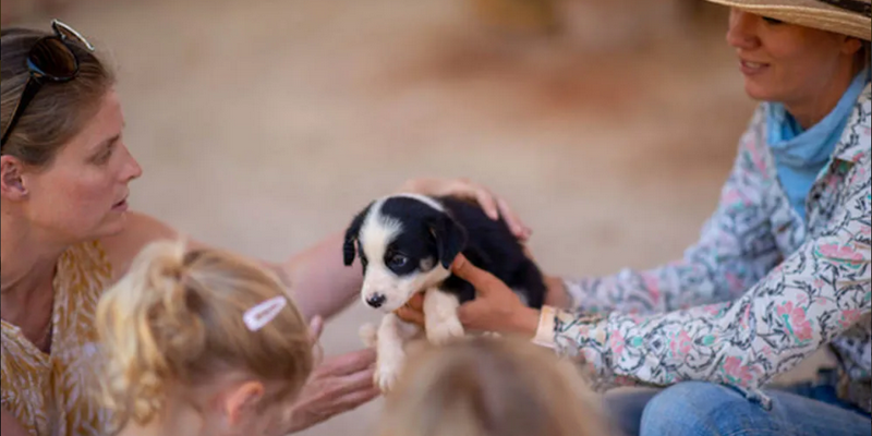 kidsbucketlist.com.au - Katherine Outback Show - 4