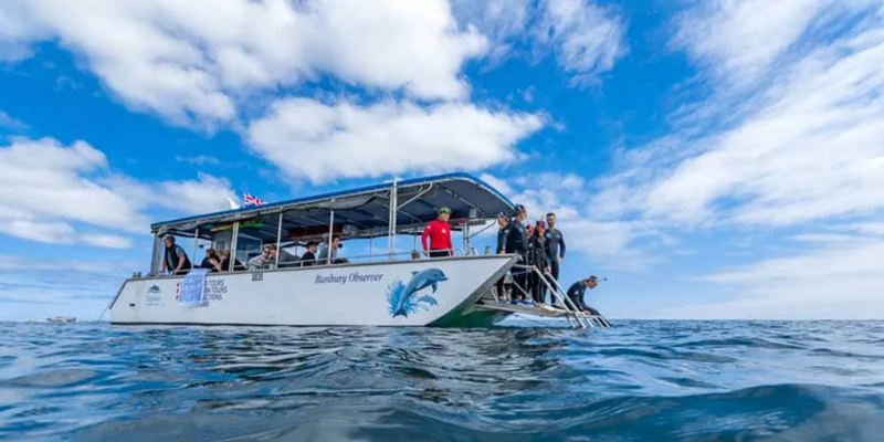 kidsbucketlist.com.au - Swim with Wild Dolphins in Bunbury - 1