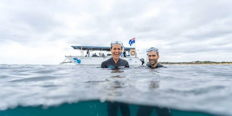 kidsbucketlist.com.au - Swim with Wild Dolphins in Bunbury - 3