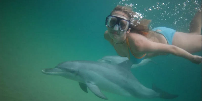 kidsbucketlist.com.au - Swim with Wild Dolphins in Bunbury - 4