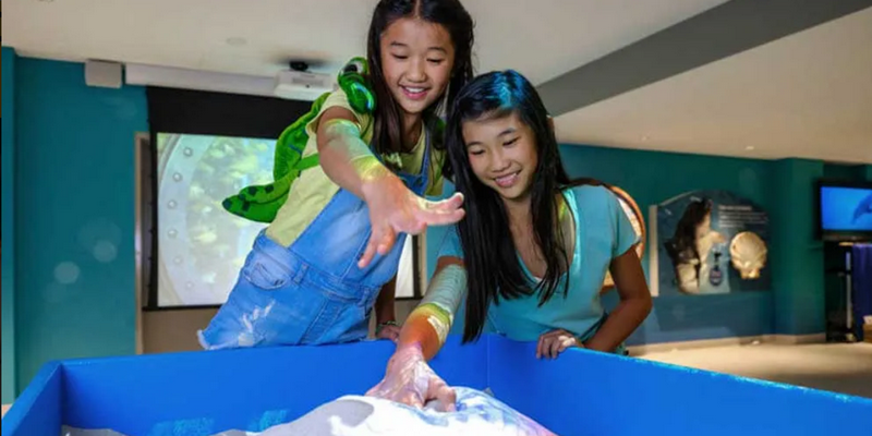 kidsbucketlist.com.au - Dolphin Discovery Centre Bunbury - 4