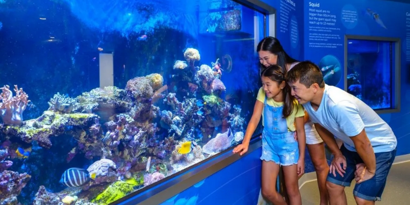 kidsbucketlist.com.au - Dolphin Discovery Centre Bunbury - 10