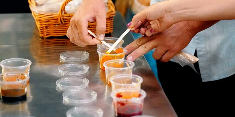 kidsbucketlist.com.au - Sarina Sugar Shed Tour & Tasting Experience - 5