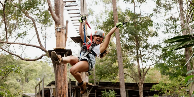 kidsbucketlist.com.au - Gold Coast Hinterland Treetop Challenge - 1