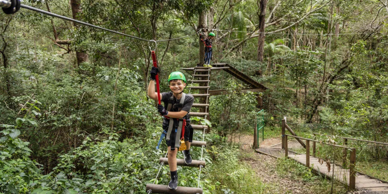 kidsbucketlist.com.au - Gold Coast Hinterland Treetop Challenge - 2
