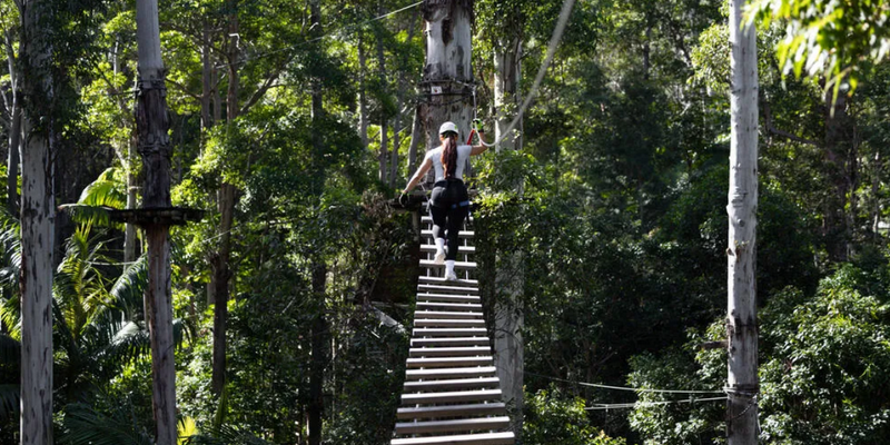 kidsbucketlist.com.au - Gold Coast Hinterland Treetop Challenge - 3