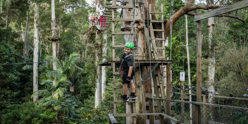 kidsbucketlist.com.au - Gold Coast Hinterland Treetop Challenge - 4