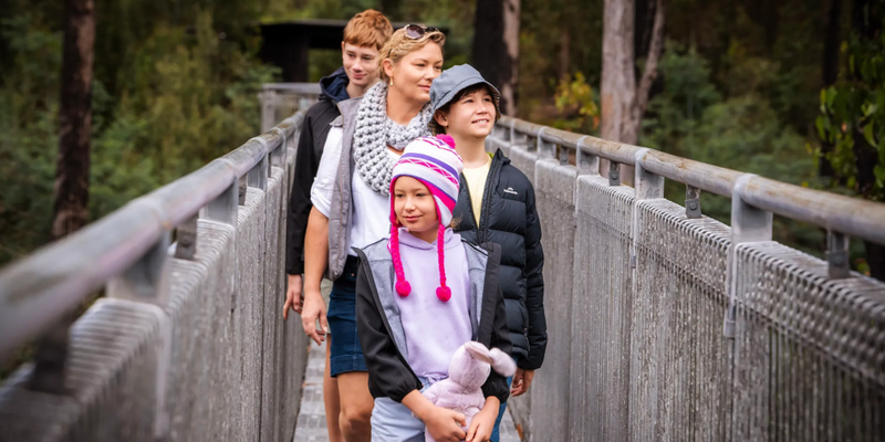 kidsbucketlist.com.au - Tahune Air Walk - 2