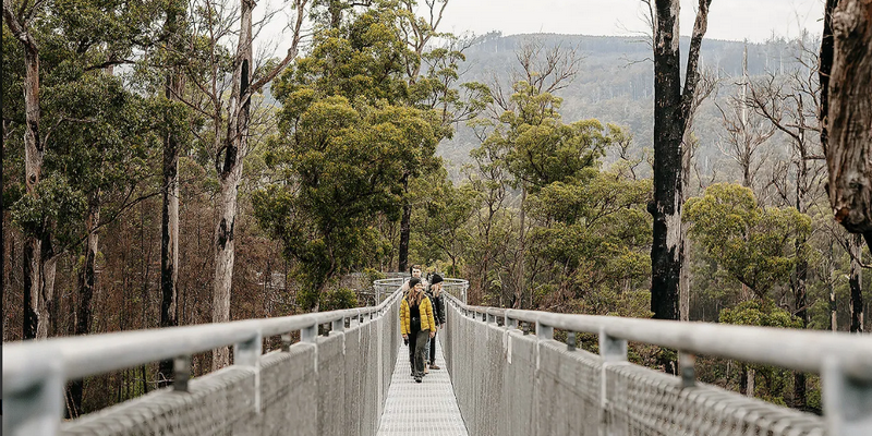 kidsbucketlist.com.au - Tahune Air Walk - 6