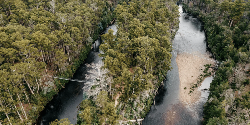 kidsbucketlist.com.au - Tahune Air Walk - 7