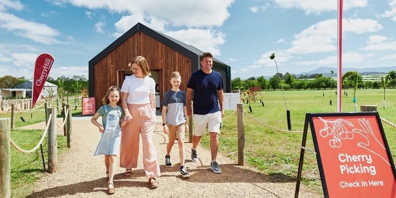 kidsbucketlist.com.au - Cherry Picking Coldstream - 1