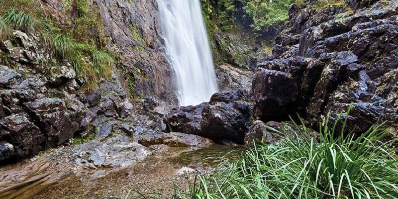 kidsbucketlist.com.au - Red Cedar Falls  - 2