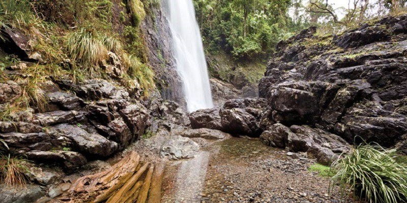 kidsbucketlist.com.au - Red Cedar Falls  - 3