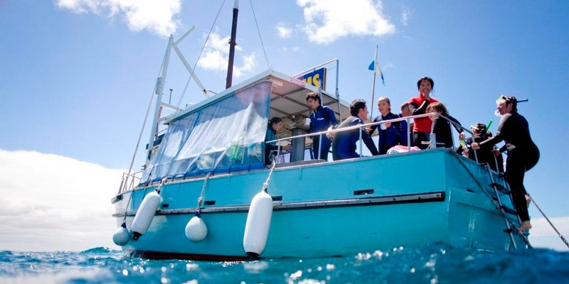 kidsbucketlist.com.au - Seal and Dolphin Swim Tour - Queenscliff - 4