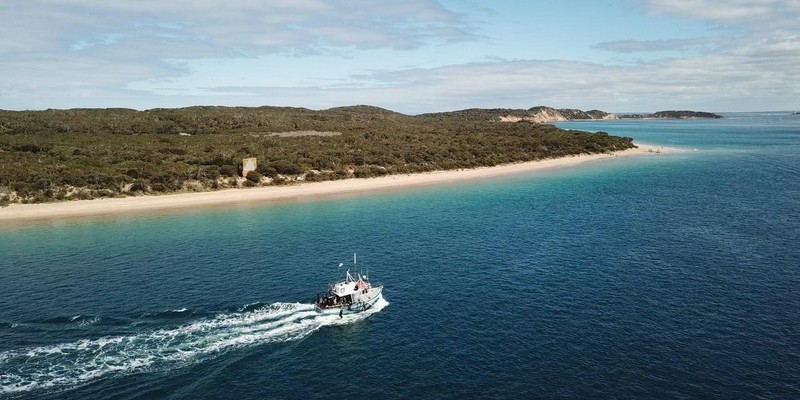 kidsbucketlist.com.au - Seal and Dolphin Swim Tour - Queenscliff - 5