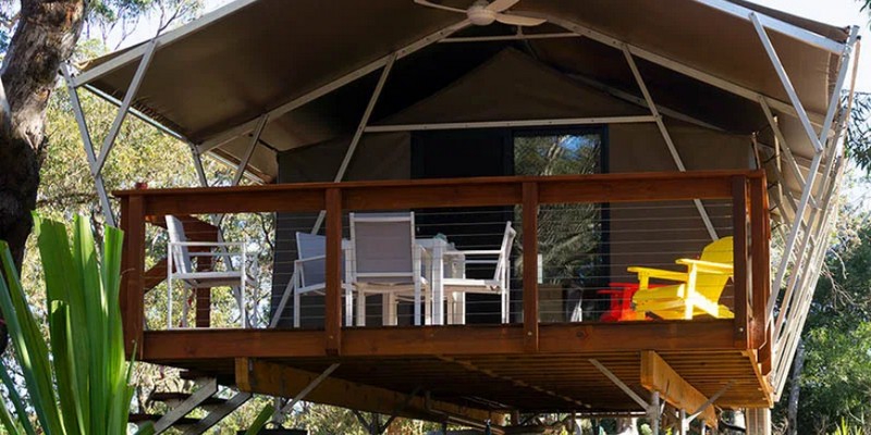 kidsbucketlist.com.au - Port Stephens Koala Sanctuary - 1