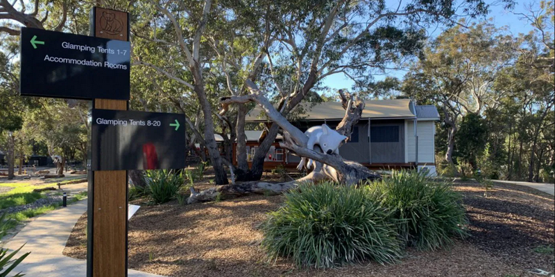 kidsbucketlist.com.au - Port Stephens Koala Sanctuary - 3