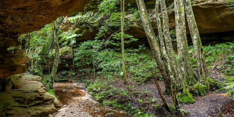 kidsbucketlist.com.au - Dalpura Canyon - 3