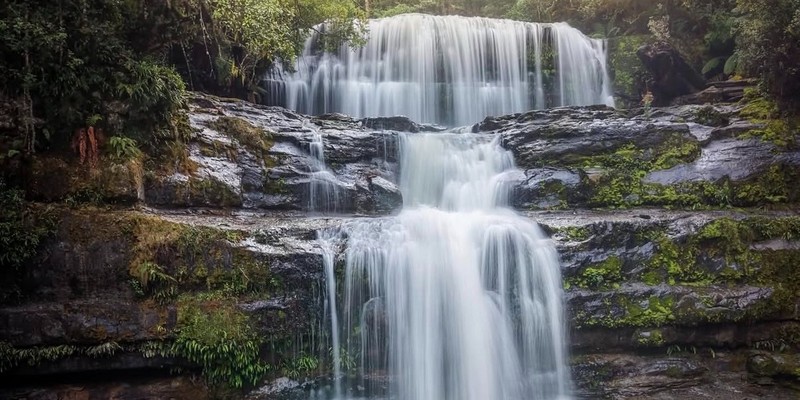 kidsbucketlist.com.au - Liffey Falls  - 2