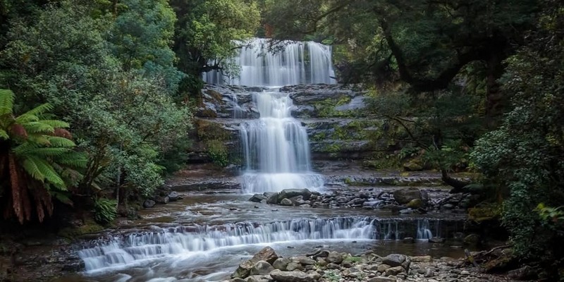 kidsbucketlist.com.au - Liffey Falls  - 3