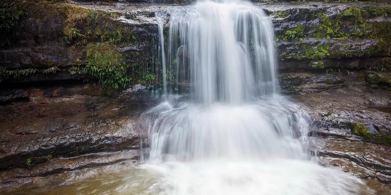kidsbucketlist.com.au - Liffey Falls  - 5