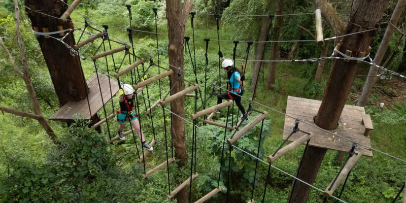 kidsbucketlist.com.au - Sunshine Coast High Ropes and Zipline Adventure - 3