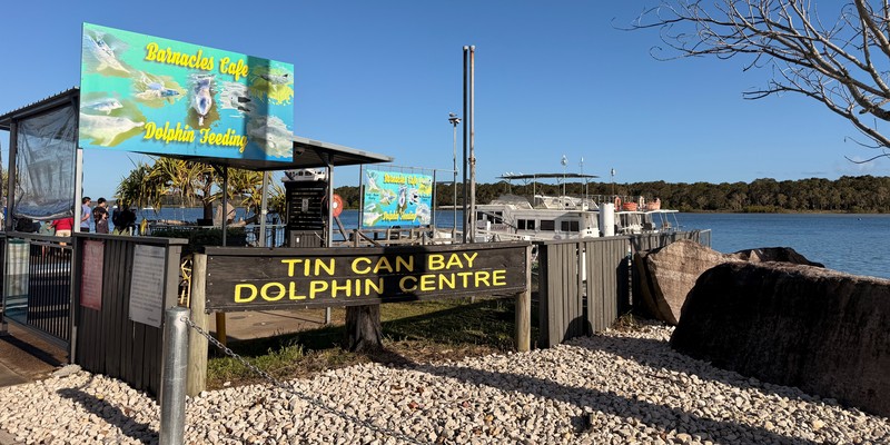 kidsbucketlist.com.au - Tin Can Bay Wild Dolphin Feeding - 8