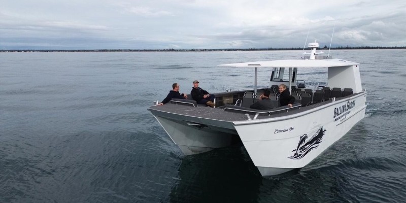 kidsbucketlist.com.au - Whale Watching Tour Ballina - Byron - 4