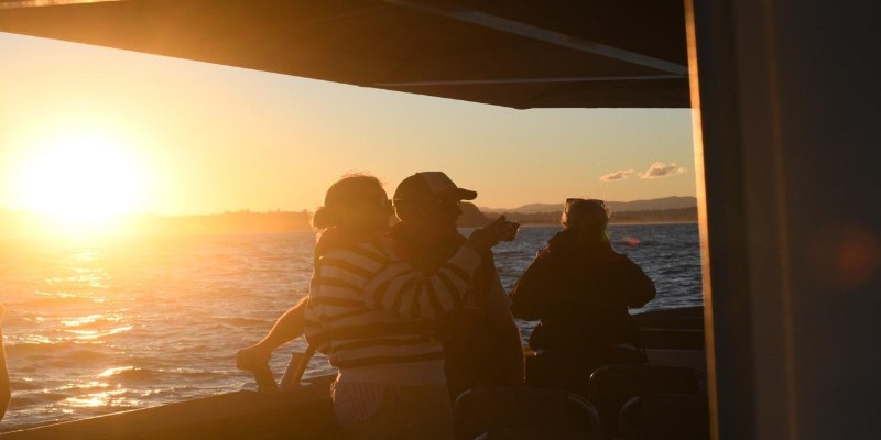 kidsbucketlist.com.au - Whale Watching Tour Ballina - Byron - 5
