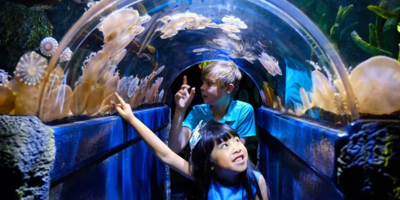kidsbucketlist.com.au - SEA LIFE Melbourne Aquarium - 1