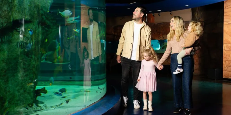 kidsbucketlist.com.au - SEA LIFE Melbourne Aquarium - 2