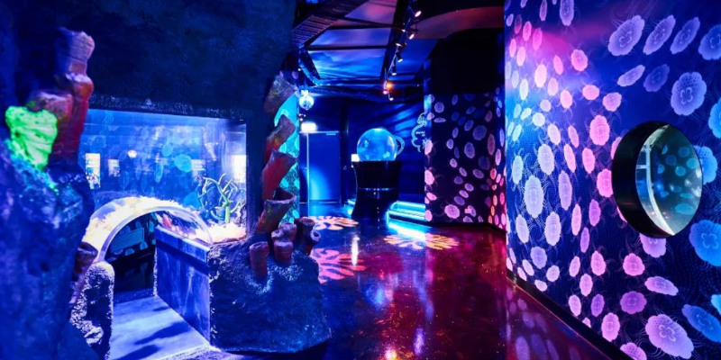 kidsbucketlist.com.au - SEA LIFE Melbourne Aquarium - 4