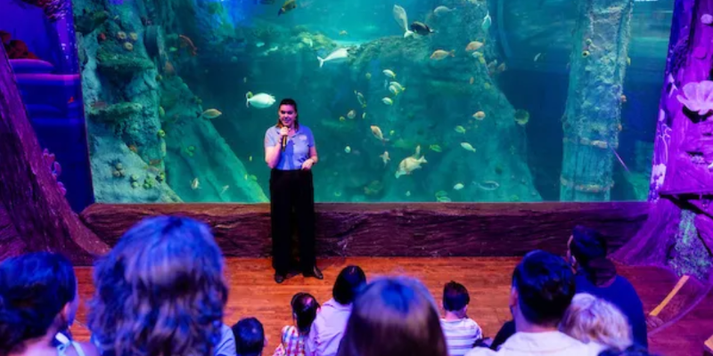kidsbucketlist.com.au - SEA LIFE Melbourne Aquarium - 10