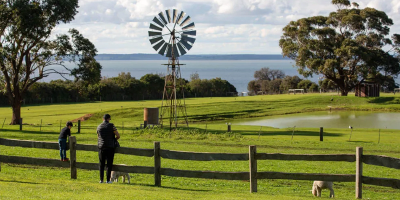 kidsbucketlist.com.au - Phillip Island Nature Parks Multi Park Pass - 5