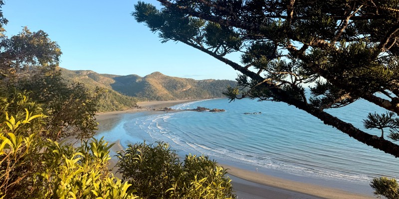 kidsbucketlist.com.au - Andrews Point Track - 3