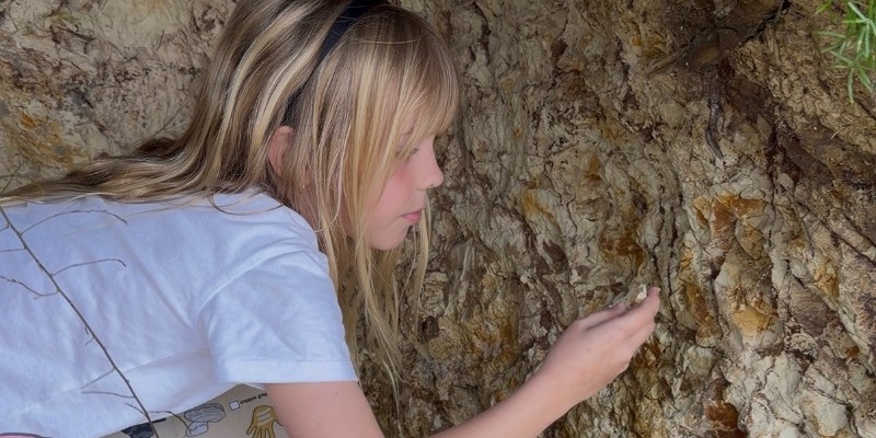kidsbucketlist.com.au - Jellurgal Aboriginal Cultural Centre - 5