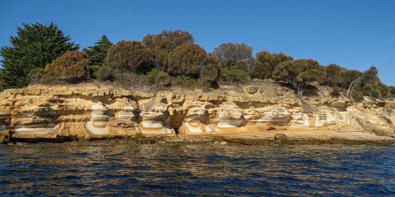 kidsbucketlist.com.au - Maria Island National Park - 4