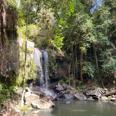 Review Photo of Curtis Falls
