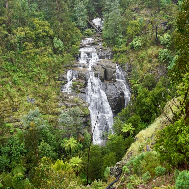 Review Photo of Masons Falls