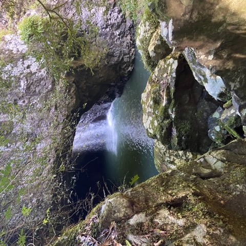 Review Photo of Natural Bridge (Falls)