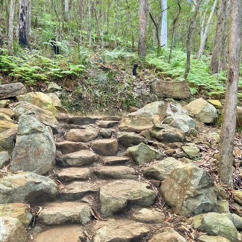 Review Photo of Mount Ngungun Summit