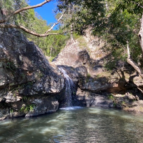 Review Photo of Kondalilla Falls