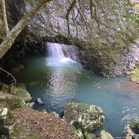 Review Photo of Natural Bridge (Falls)