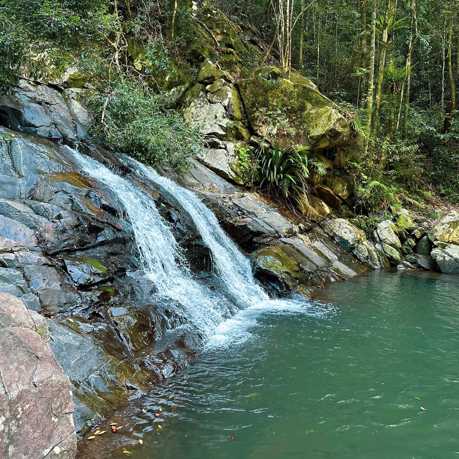 Review Photo of Cedar Creek Falls by Samantha