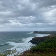 Review Photo of Pat Morton Lookout
