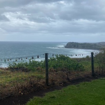 Review Photo of Pat Morton Lookout