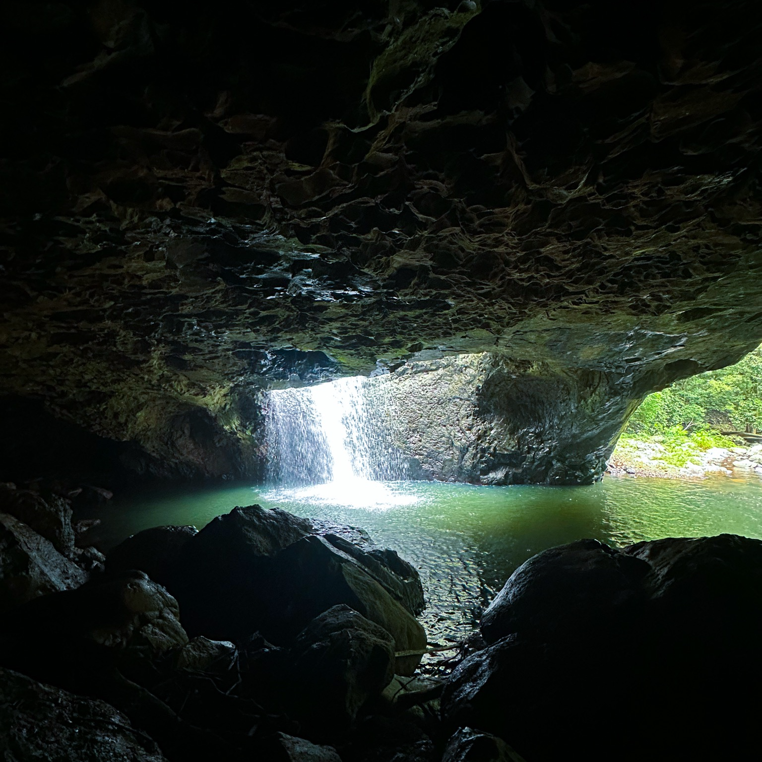 Review Photo of Natural Bridge (Falls)